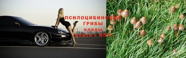хмурый Абдулино